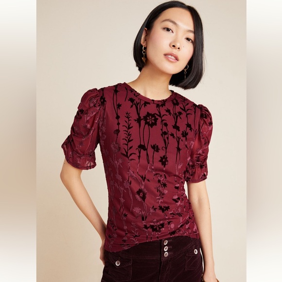 Anthropologie En Elly Doria Burnout Velvet Top - Picture 1 of 10